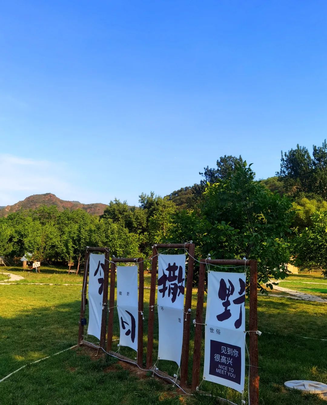 1724052315735130.jpg 4.jpg