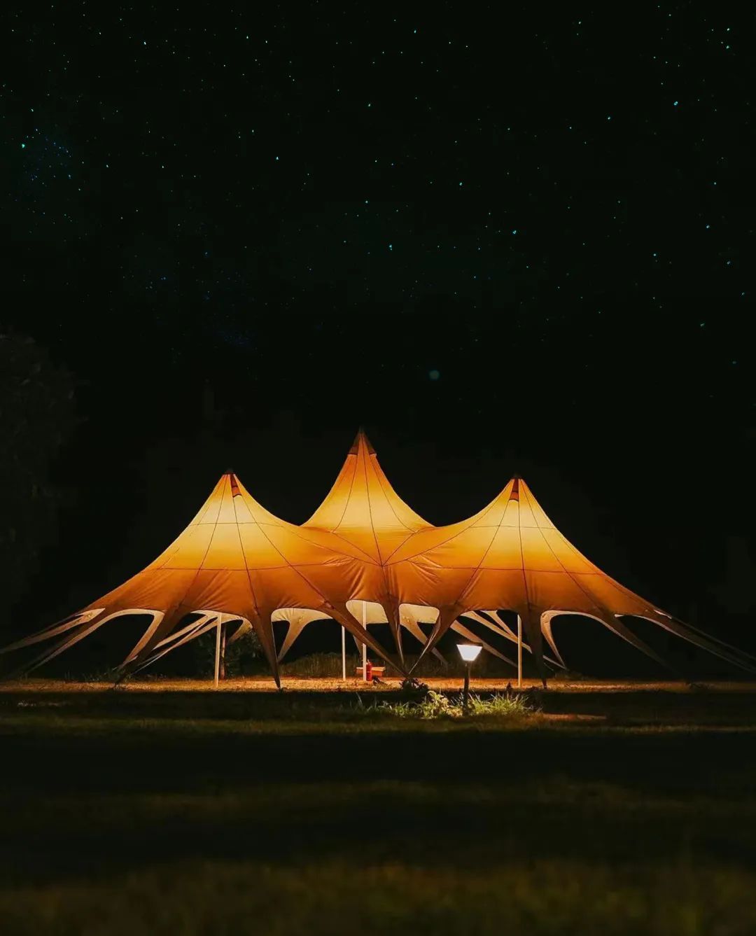 1724052393646666.jpg 8.jpg