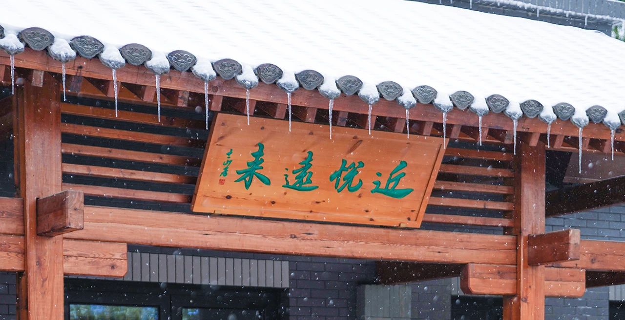 1724054344605249.jpg 2.jpg