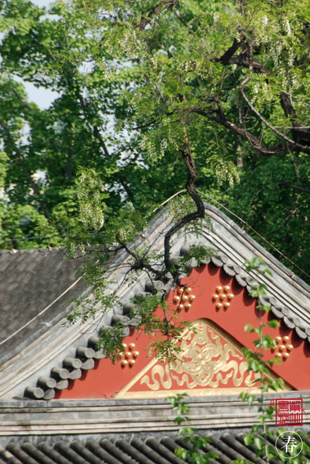 1725765375104323.jpg 12.jpg