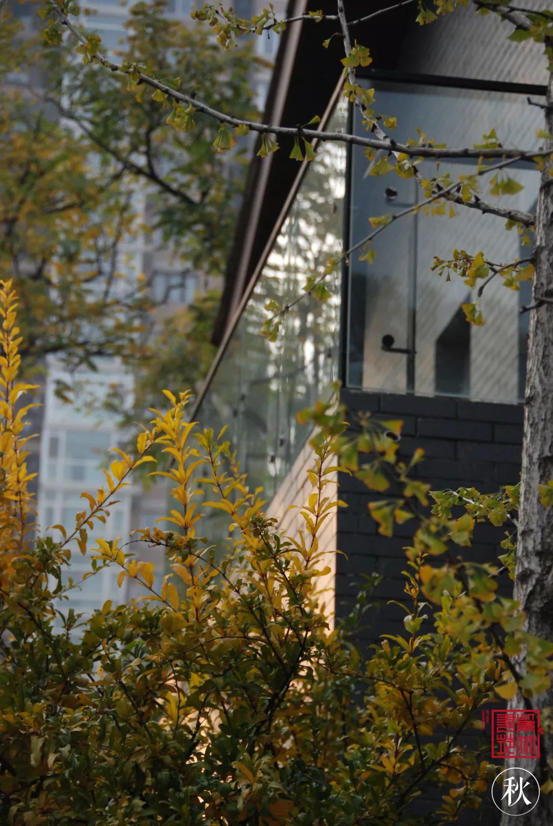 1725765399717590.jpg 14.jpg