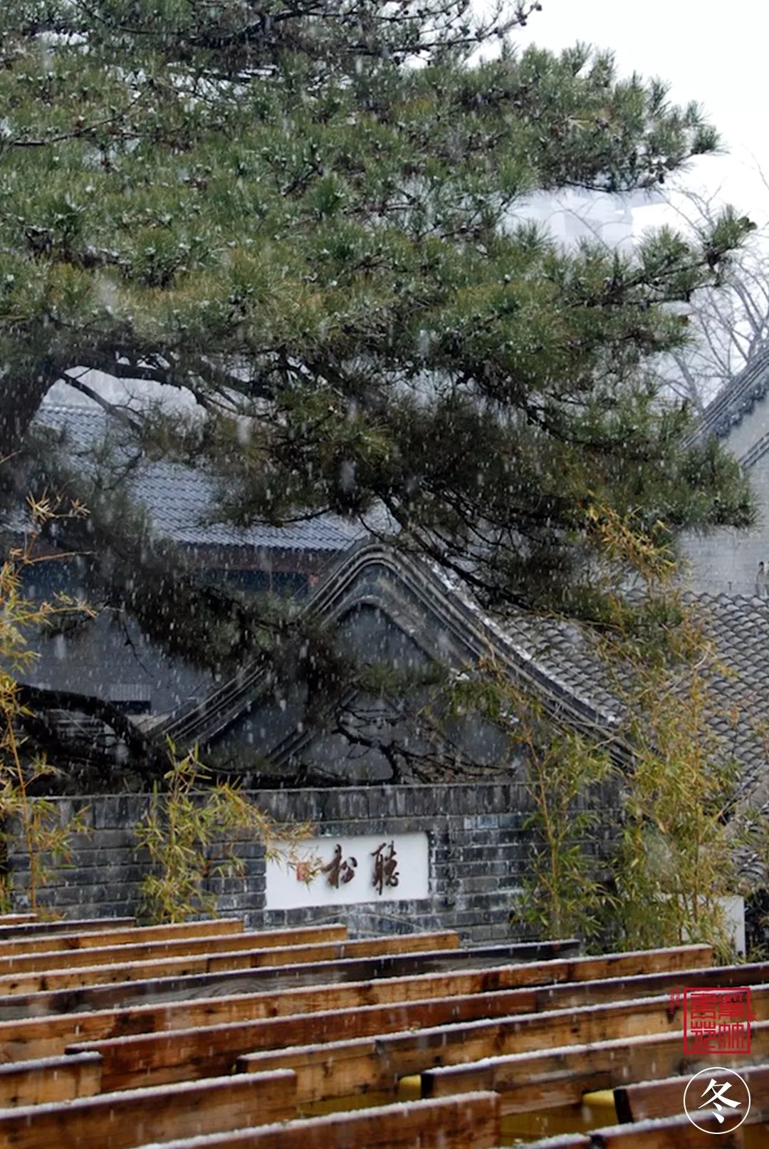 1725765410996737.jpg 15.jpg