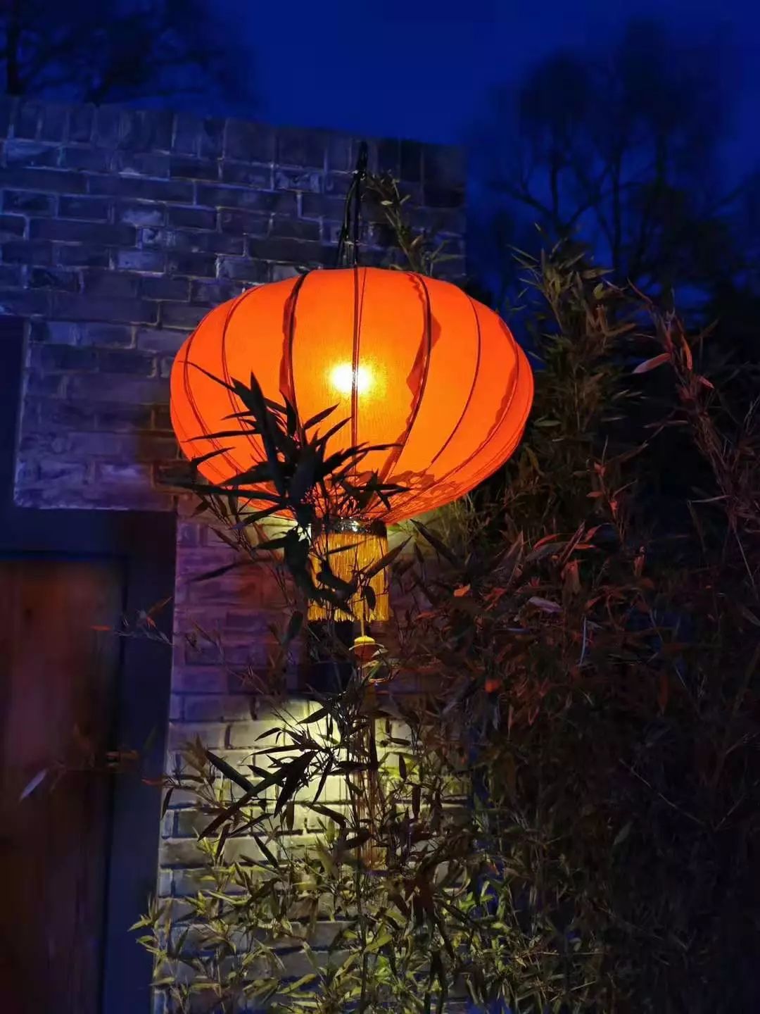 1725771560222255.jpg 73.jpg